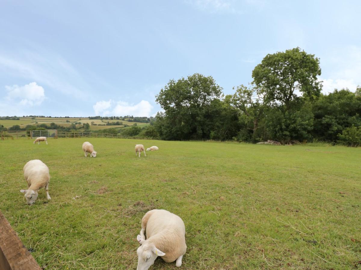 Holmer Farm 레민스터 외부 사진
